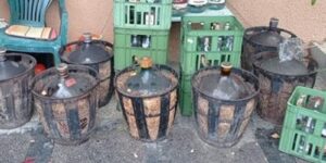 pálenice pálenice